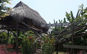 Sunny Field Eco Stilt House